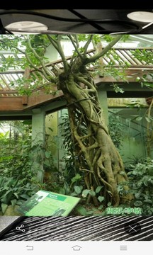 FindAR截圖4