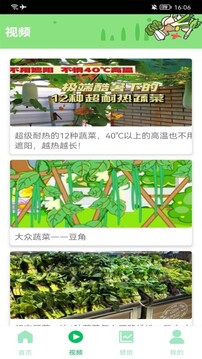 有機菜市場(chǎng)截圖4