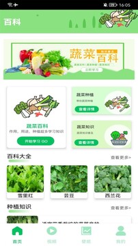 有機菜市場(chǎng)截圖1