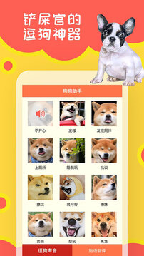 狗狗助手截圖2