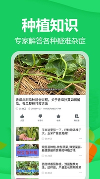 爺爺?shù)霓r(nóng)園截圖3