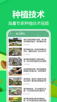 爺爺?shù)霓r(nóng)園截圖2