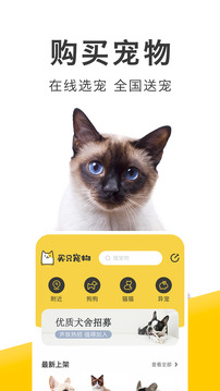 買(mǎi)只寵物截圖1