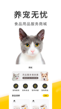 買(mǎi)只寵物截圖2