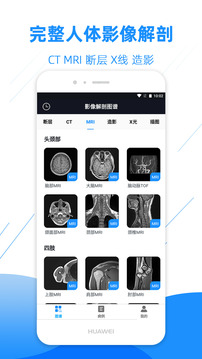 影像解剖圖譜截圖1