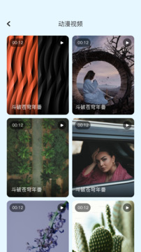 奇奇動(dòng)漫截圖2